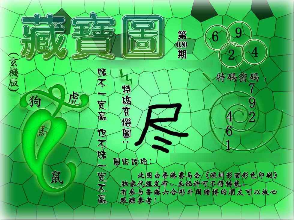 030期九龙玄机报[图]